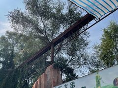 -沈阳森林动物园