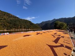 -新安江山水画廊风景区