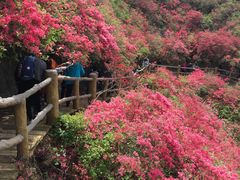 -木兰云雾山