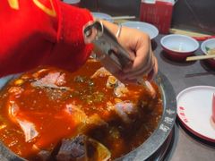 -蜀滋香鲜鱼美蛙火锅(339店)