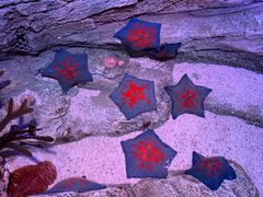 -沈阳海洋探索中心