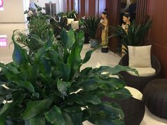 -WFC会仙楼观景台