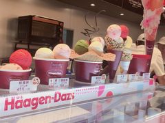 零售区-哈根达斯(虹口店)