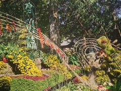 -杭州植物园