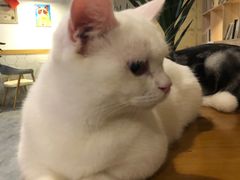 -有何Book(六堰体育馆店)