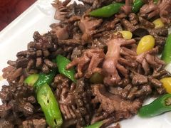 -丁老爷子苏香圆