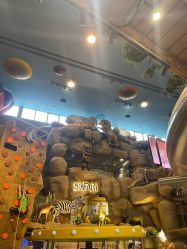 -卡通尼·Safari非洲探索乐园·生日会(金桥国际商业广场店)