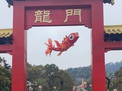 -南山植物园