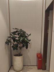 -禾丽康美医疗美容医院