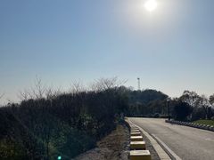 -羊山湖公园