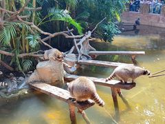 -长鹿旅游休博园