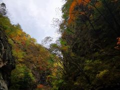 -秦岭风景区