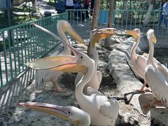 -水上乐园·欢乐世界