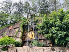 -三水森林公园