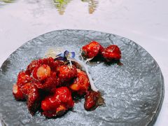 糖醋小排-淮扬韵(高新大都荟店)