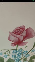 -S&G Beauty轻奢皮肤管理中心