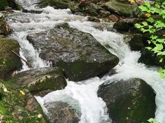 -五女峰国家森林公园