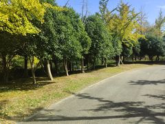 -梁鸿国家湿地公园