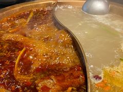 -杨家火锅(国美店)