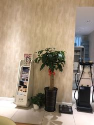 -诗媛嘉美健康管理中心(金桥店)