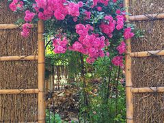 -谷咖啡·鲜花绿植花园餐厅