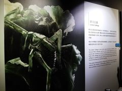 -台北故宫博物院