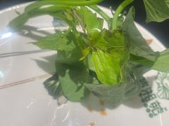 -楚湘苑(商品街大道店)