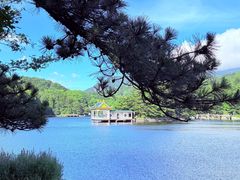 -庐山风景区花径公园