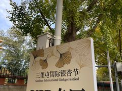 -三里屯东五街银杏大道