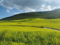 -扁都口生态休闲旅游区