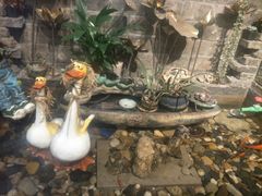 -阿嫂印象·民间江湖菜(大学城店)