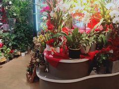 -Olé精品超市(上海虹桥南丰城店)