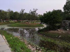 -东郊湿地公园