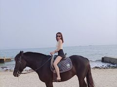 -玫瑰海岸文化旅游度假区