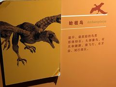 -云南省博物馆