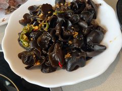 -百利鸽王(紫薇路店)