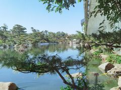 -罗红摄影艺术馆