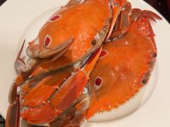 -广州万富希尔顿酒店-感趣自助餐厅·生蚝海鲜刺身