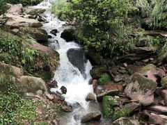 -老财土菜馆·砂锅雅鱼(廊桥店)