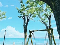 -悦海公园