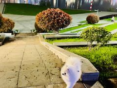 -长沙滨江文化园