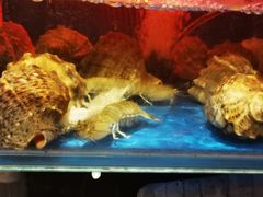 -臻鲜燕海鲜融合餐厅(金陵style店)