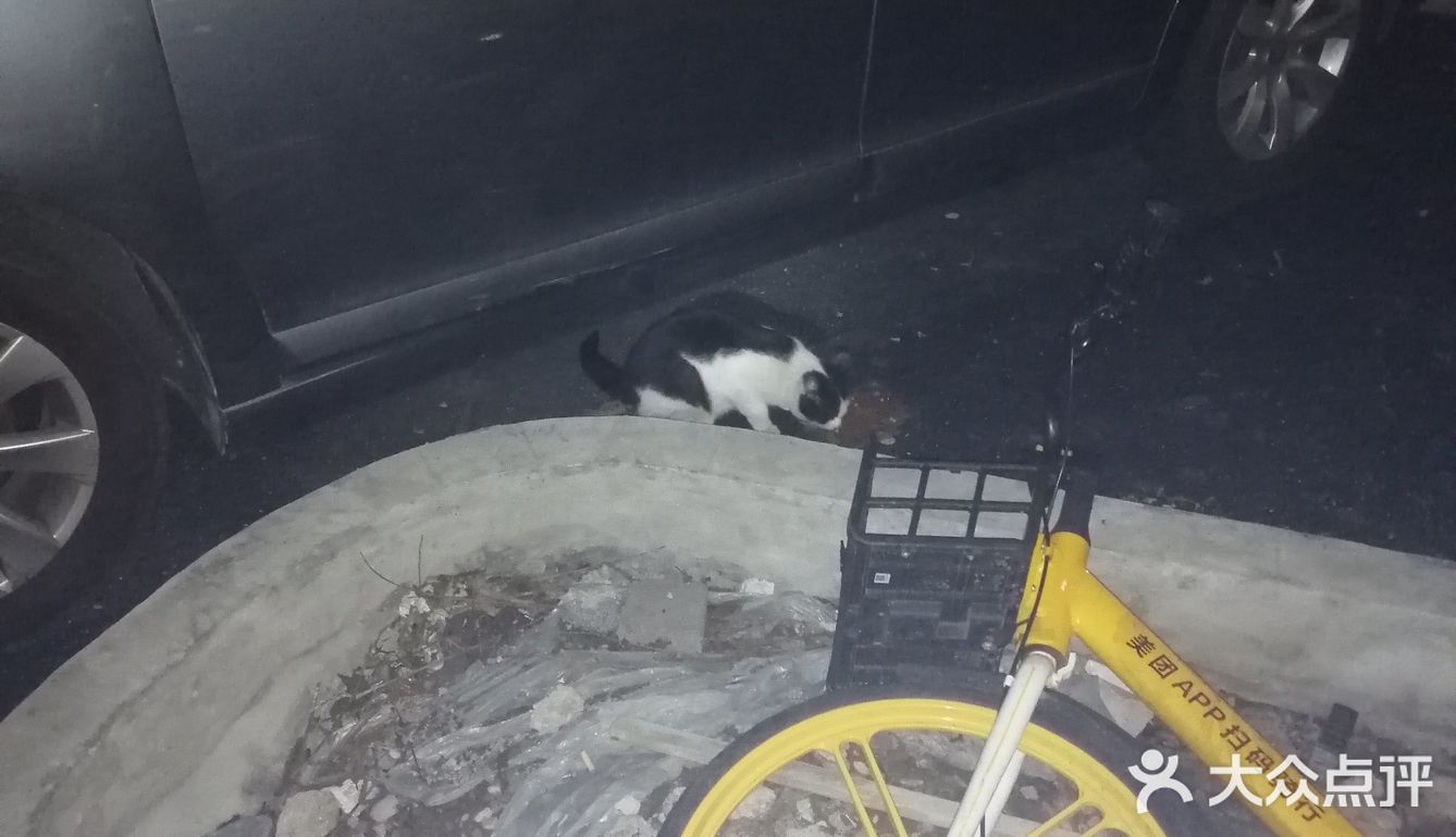 【6区】终于在白天看清了她的脸，起名梦露。