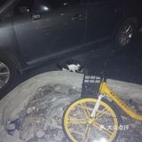 【6区】终于在白天看清了她的脸，起名梦露。