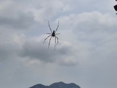 -南丫岛
