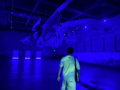 -北戴河圣蓝海洋公园