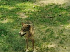 -北京野生动物园