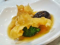 花胶-凤城礼记鱼翅海鲜酒家(新马路总店)