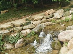 -大连植物园