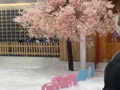 -Mr·Kuma酷么先生雪之乐园